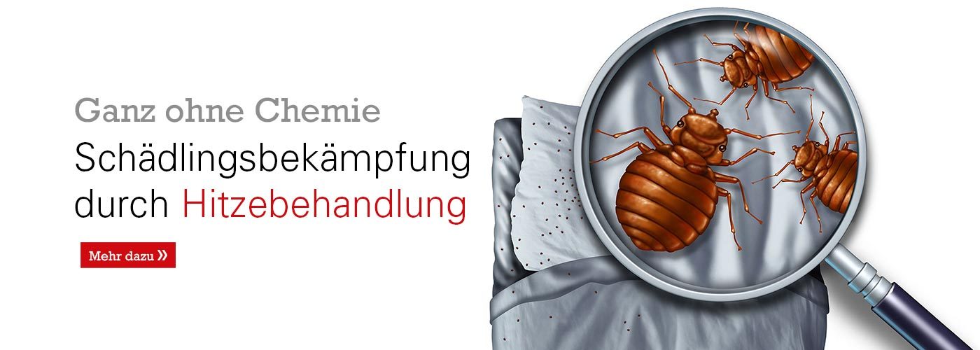 Bettwanzenbekämpfung ohne Chemie